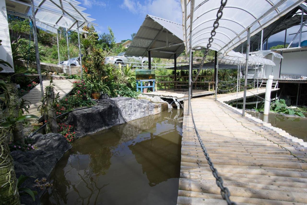 Amazing Grace Lodge Kampong Kundassan Exterior foto