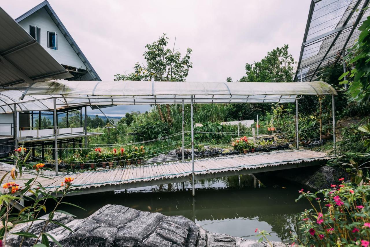 Amazing Grace Lodge Kampong Kundassan Exterior foto
