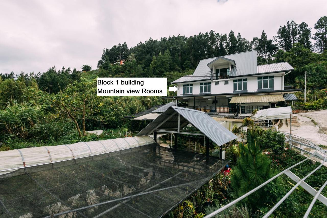 Amazing Grace Lodge Kampong Kundassan Exterior foto
