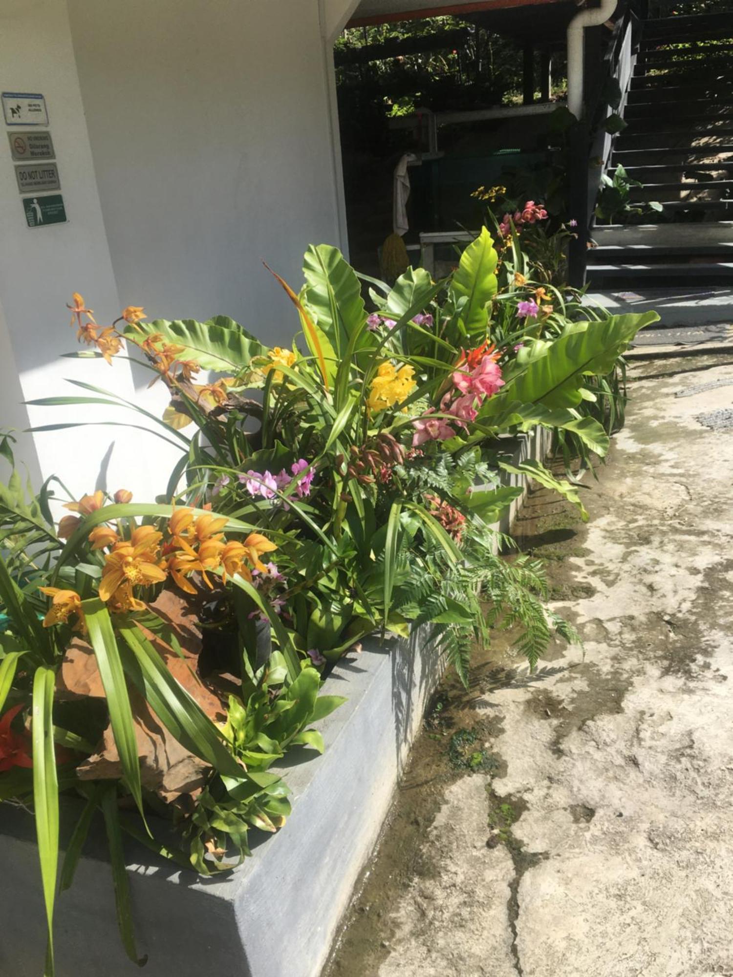 Amazing Grace Lodge Kampong Kundassan Exterior foto